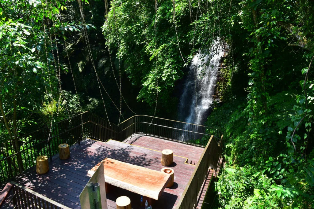 嘉義山區景點推薦二：太興飛瀑步道。圖片來源：阿里山國家風景區管理處